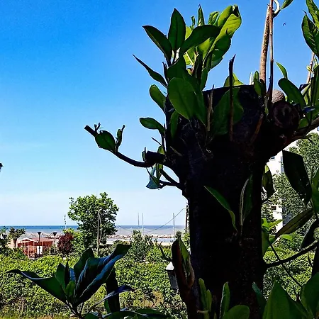 Apartment Loft Sulla Spiaggia *